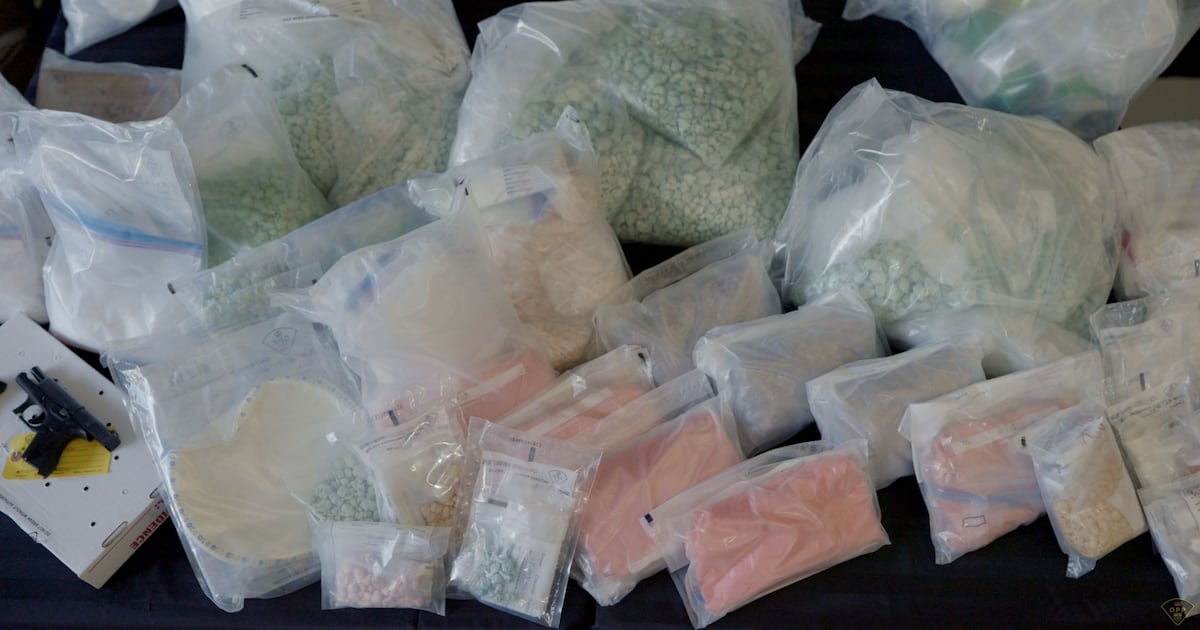 WATCH: Record-breaking fentanyl bust in Windsor, Ont. - CTV News
