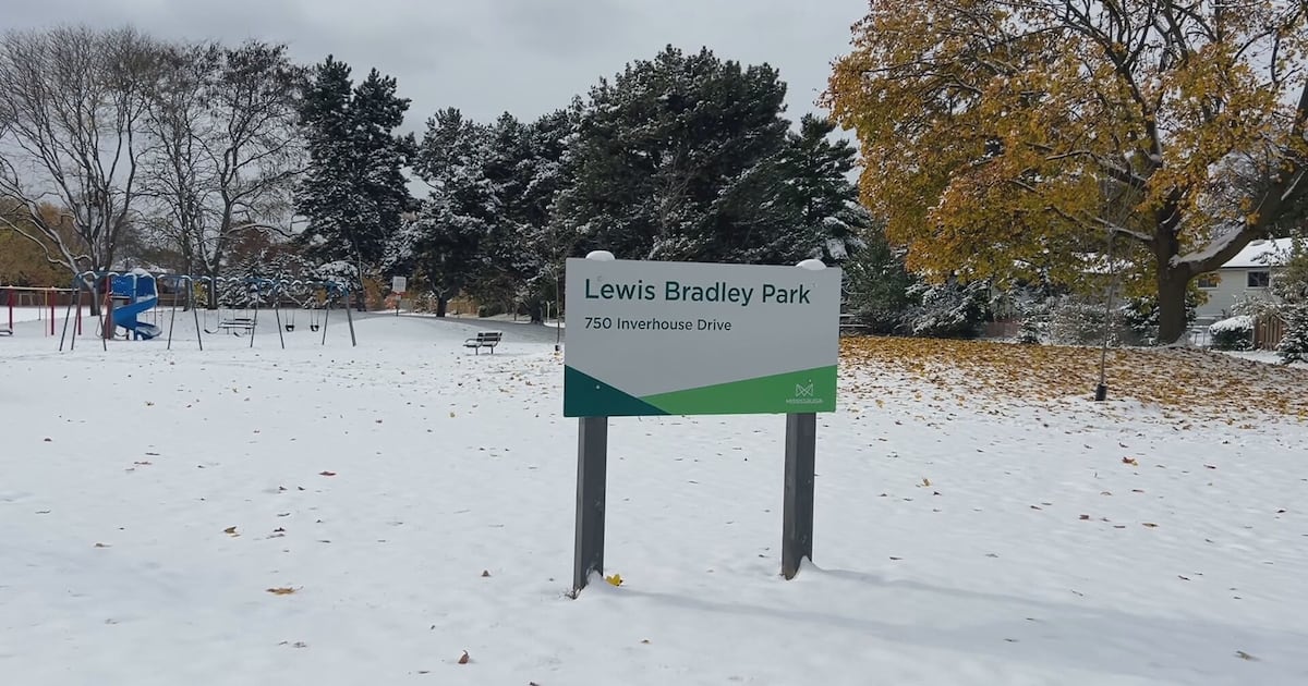 Investigation underway after missing senior found in Mississauga park with limb injuries