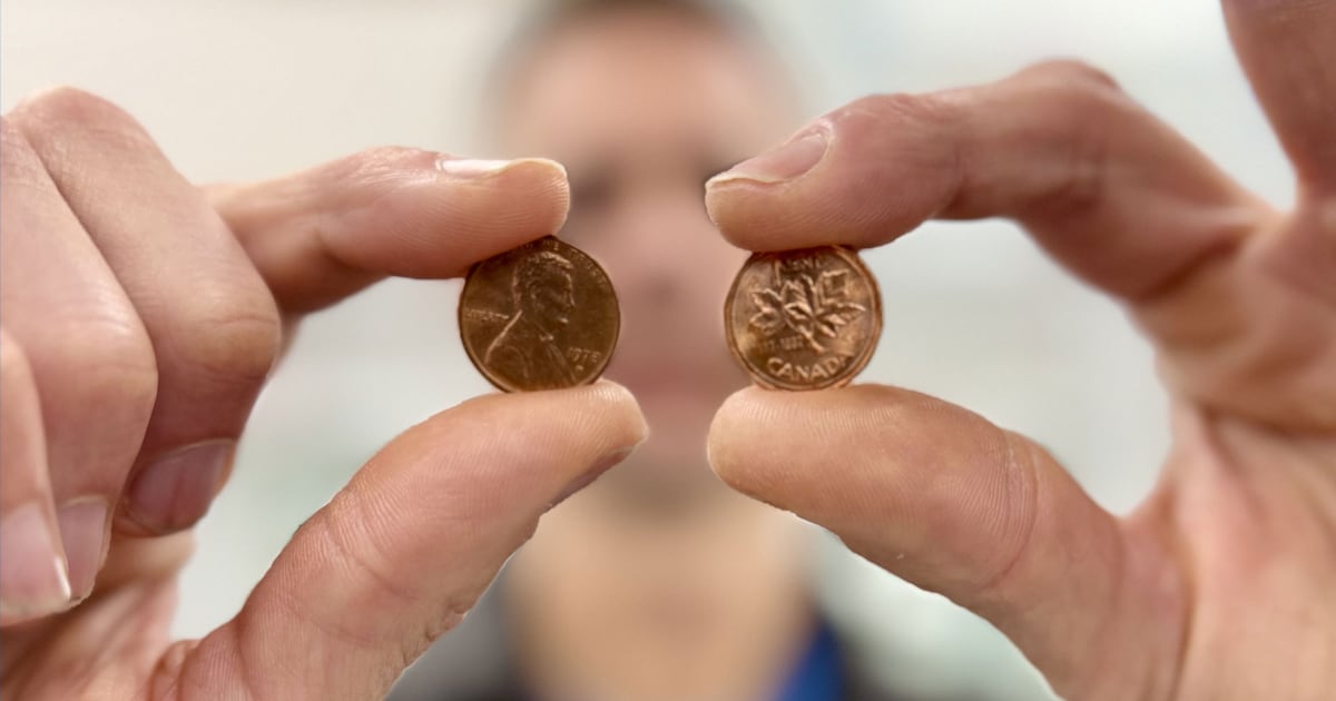 Kitchener collector says old pennies could be worth more than face value - CTV News