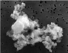 Scanning electron microscope image of a interplanetary dust particle. Credit - NASA