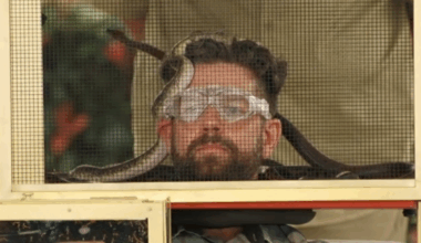 I’m a Celeb live: ITV series launch lowest-watched in years