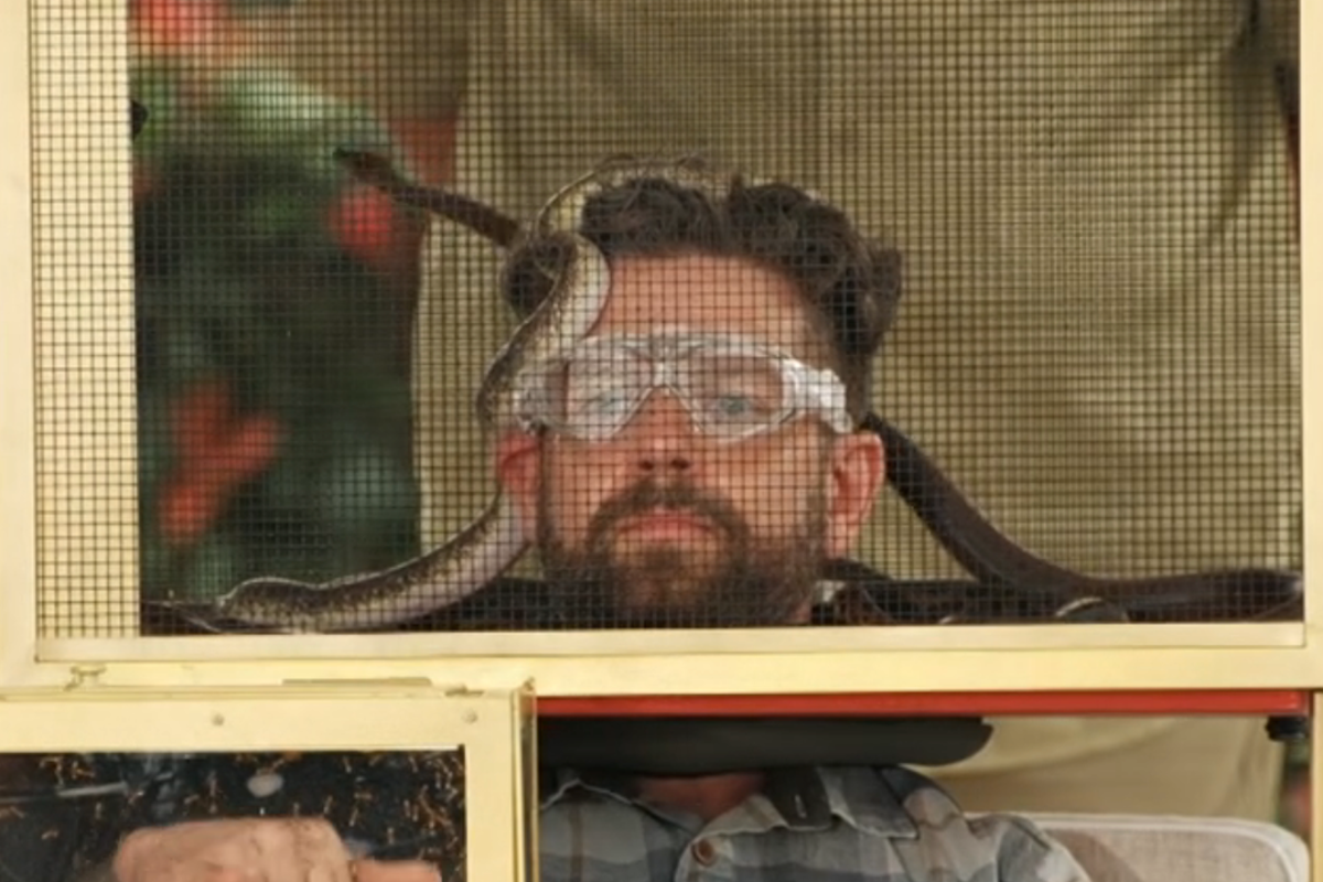 I’m a Celeb live: ITV series launch lowest-watched in years