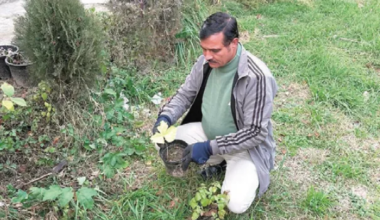 ‘Herbal man of Kashmir’ cultivates ‘garden of healing’ in South Kashmir’s Achabal