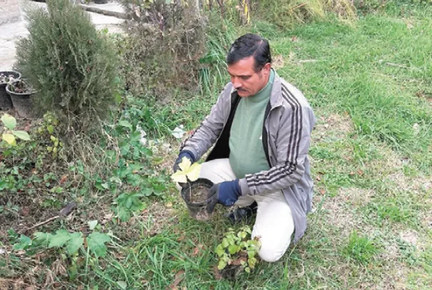 ‘Herbal man of Kashmir’ cultivates ‘garden of healing’ in South Kashmir’s Achabal