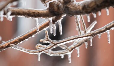 Freezing rain could hit Montreal with up to 10 mm of ice this weekend - CTV News