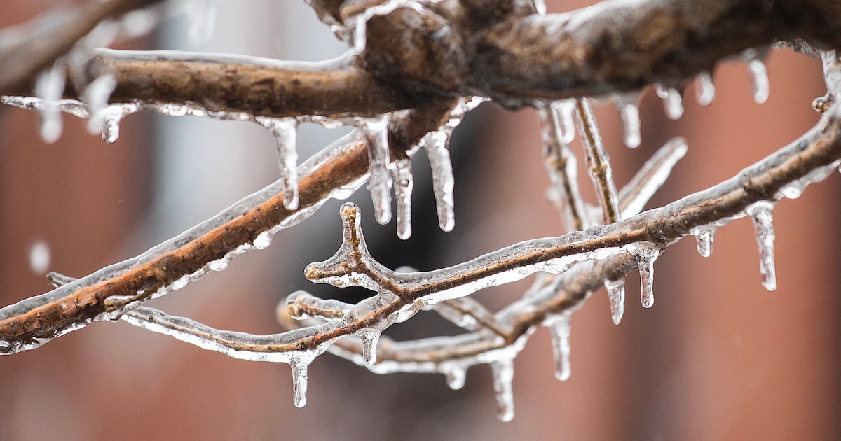 Freezing rain could hit Montreal with up to 10 mm of ice this weekend - CTV News
