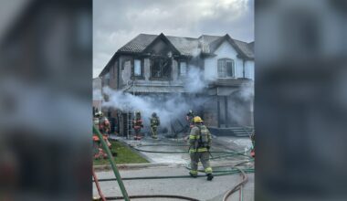 No one hurt, house damaged in Brampton fire