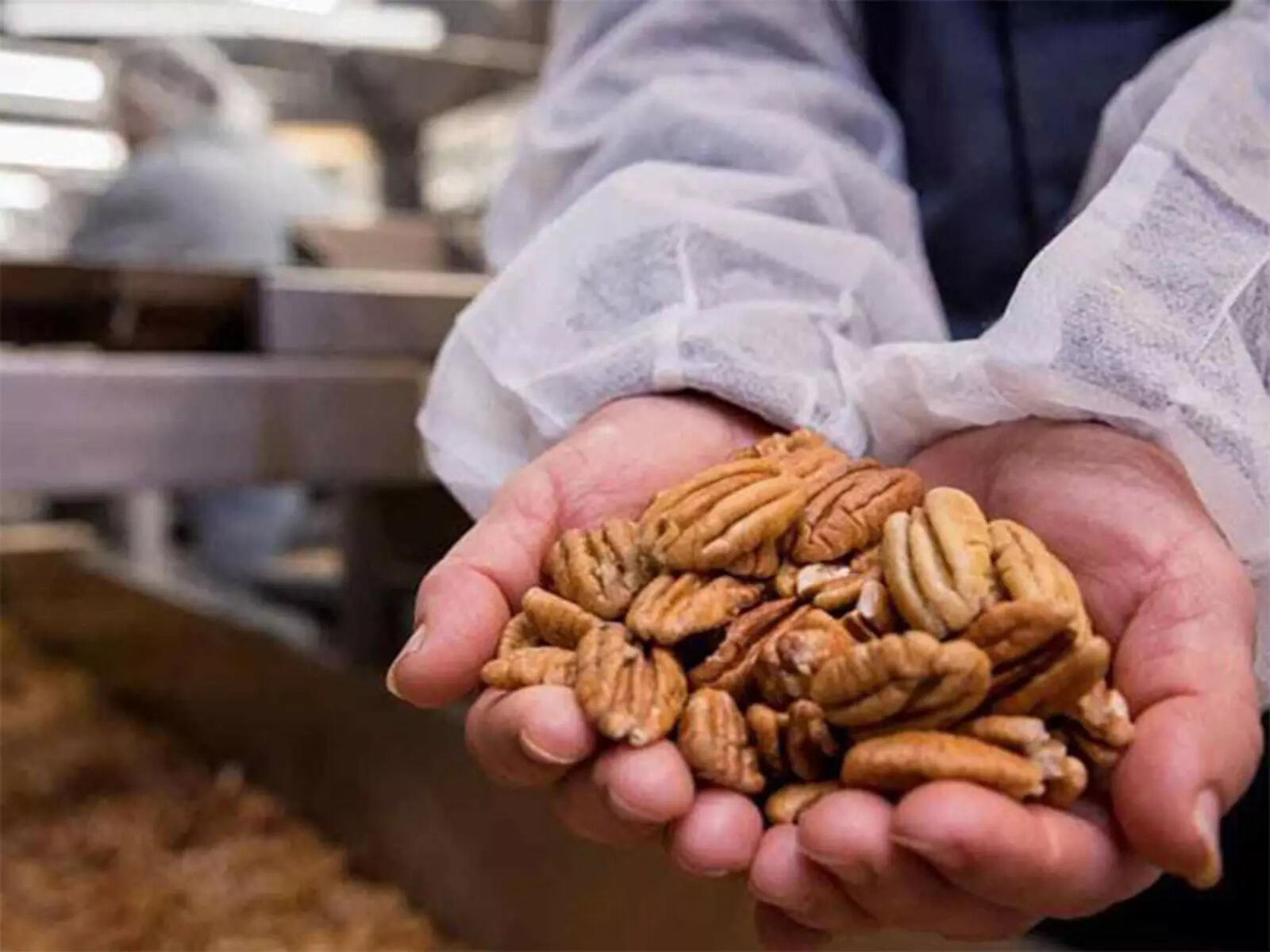 American Pecans: Nature's Shield Against Pollution and Immunity Booster
