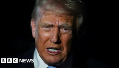 Trump calls on House Republicans to vote to release Epstein files