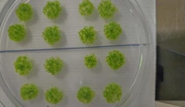 United Press International