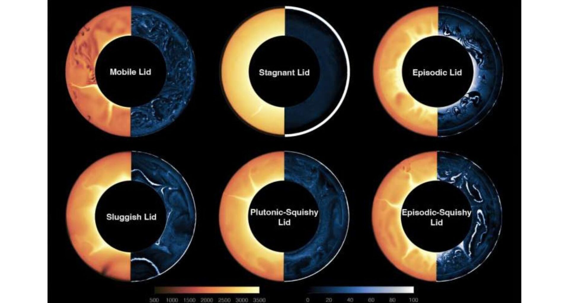 Six rings showing yellow and blue on two halves with different labels