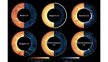 Six rings showing yellow and blue on two halves with different labels