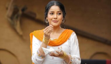 Ikk Kudi Box Office Collection