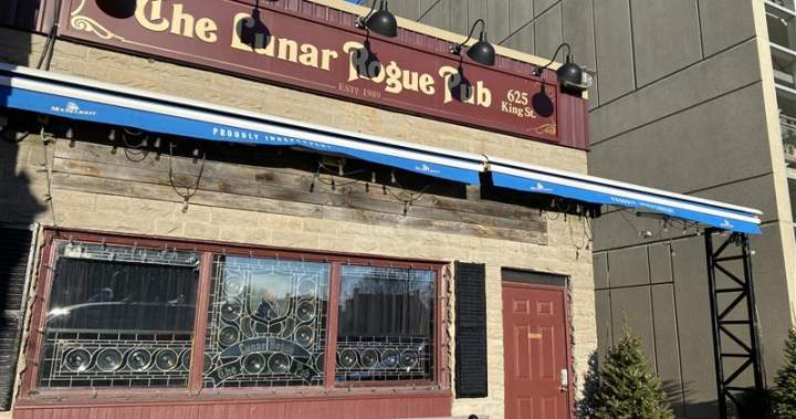 Rodent issue on the rise: 2 Fredericton restaurants shut down after health inspections - New Brunswick