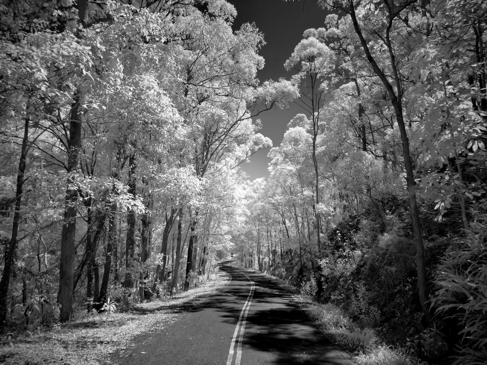 Road infrared finished edit.