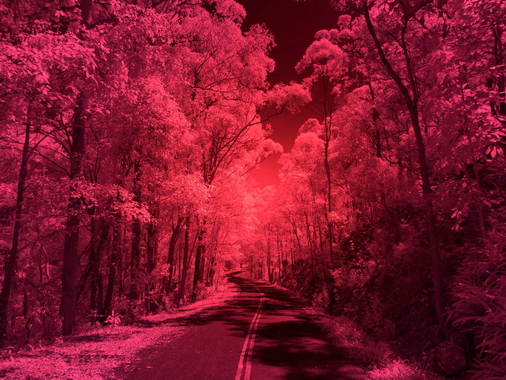 Road infrared raw image.