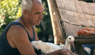 The Tale of Silyan movie review (2025)