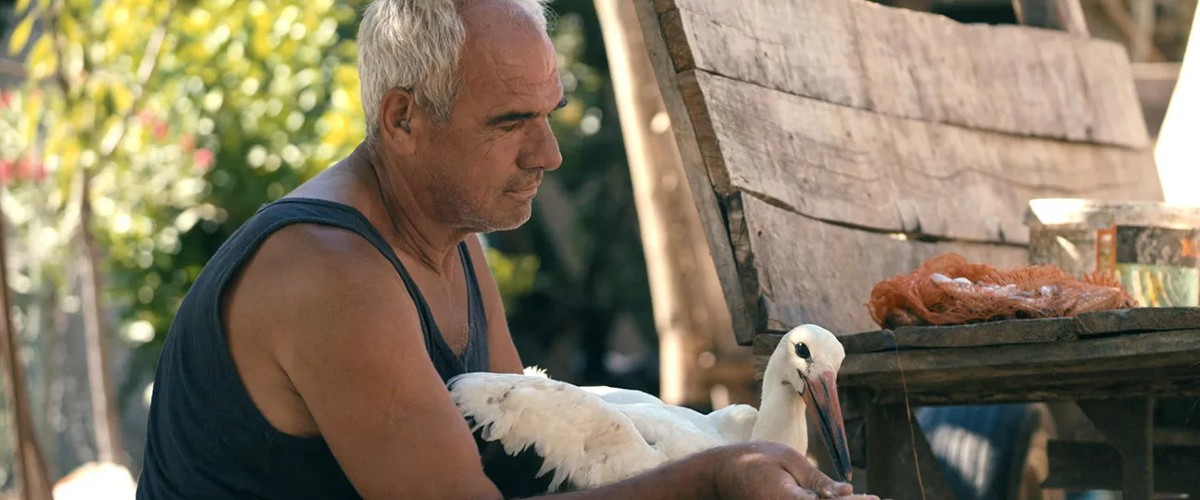 The Tale of Silyan movie review (2025)