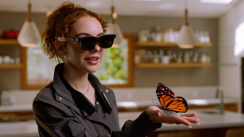 Viture Still Butterfly