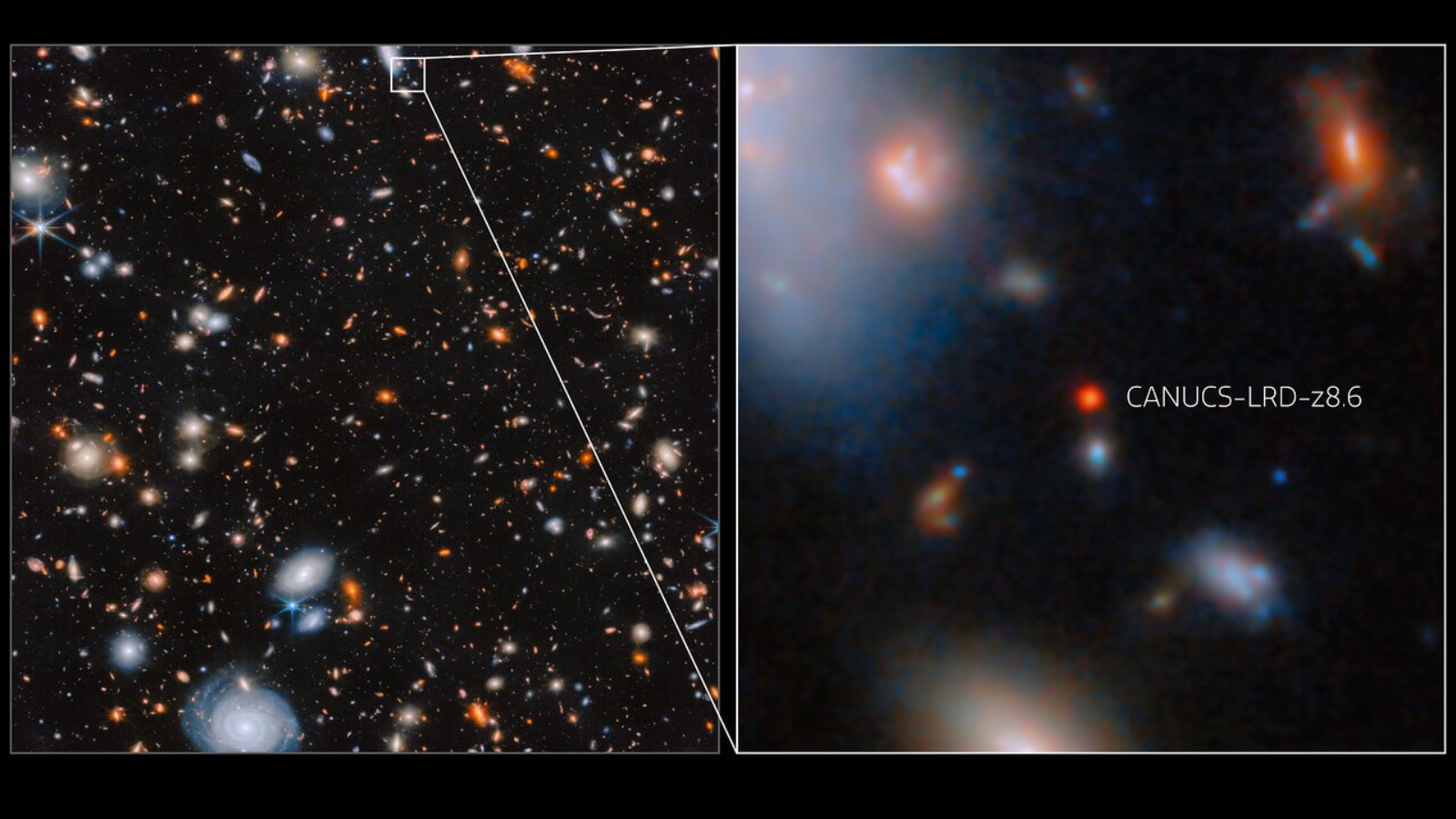 (Left) an image of many glowing galaxies in various shapes and colours, including spiral and elliptical galaxies, on a black background. A small box near the top of this image highlights a small collection of galaxies. (Right) the same area zoomed in to reveal its details up close. This region shows a small circular red galaxy in the centre, which is labelled &ldquo;CANUCS-LRD-z8.6&rdquo;