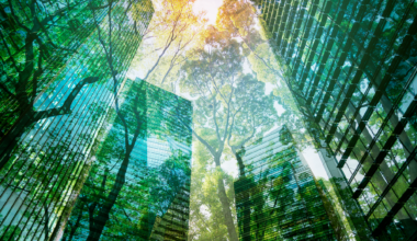 Global green economy to hit $7 trillion by 2030: WEF-BCG report - news.cgtn.com