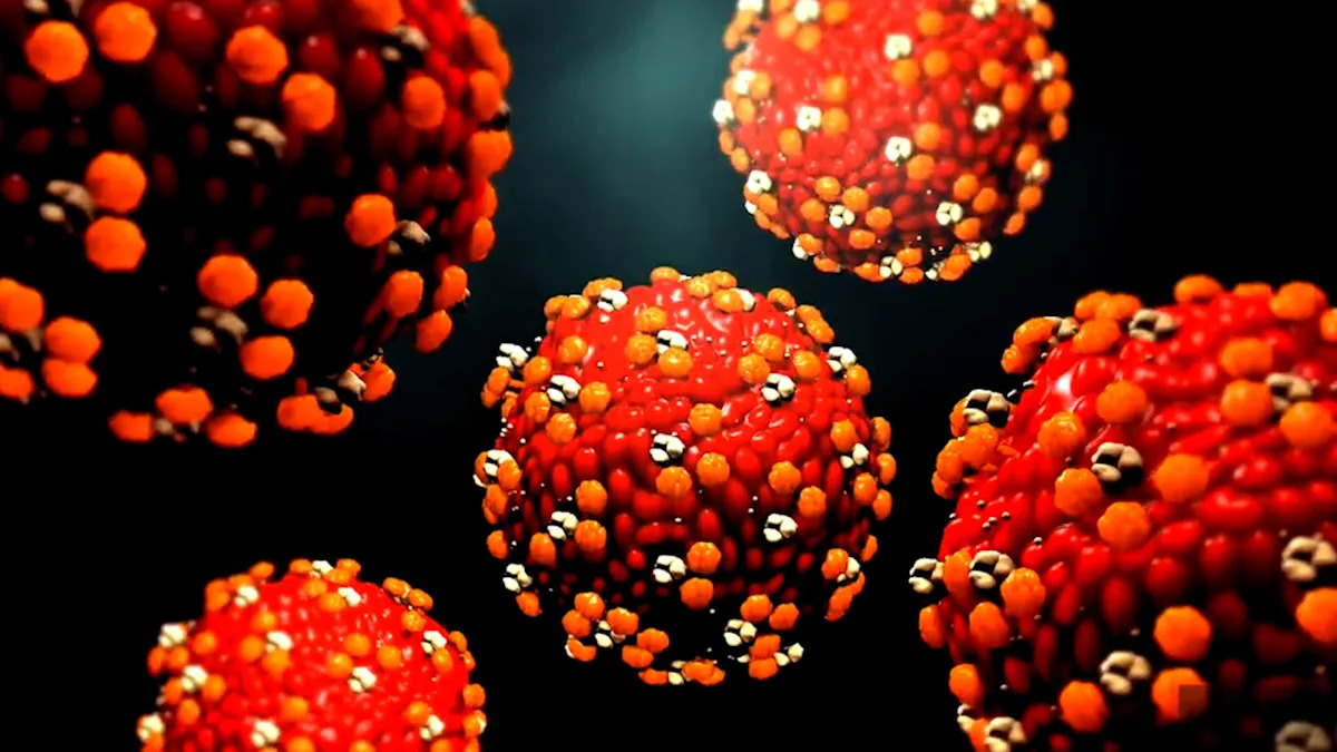 Looking back at Canada's response to the measles outbreak