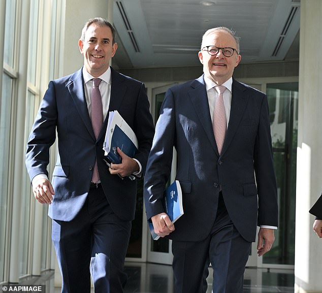 Managed decline in 2026 - unless they surprise us: Prime Minister Anthony Albanese and Treasurer Jim Chalmers