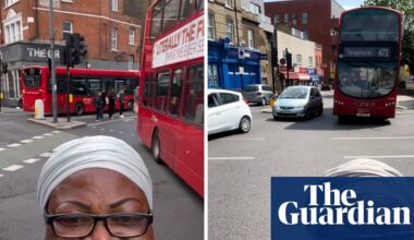 From that bird guy to ‘bus aunty’: the real social media personalities rising above AI slop | Social media