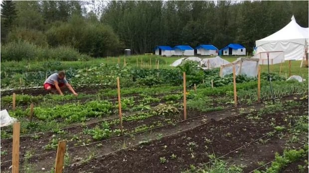 More flood mitigation infrastructure coming to 2 Yukon communities