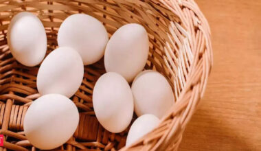 Eggs, tofu or chicken? Harvard-trained gut doctor Dr Sethi ranks ten most powerful protein foods you must include in your diet