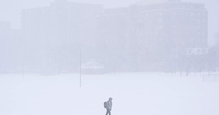 Snowstorm closes schools, cancels ferry crossings in Atlantic Canada