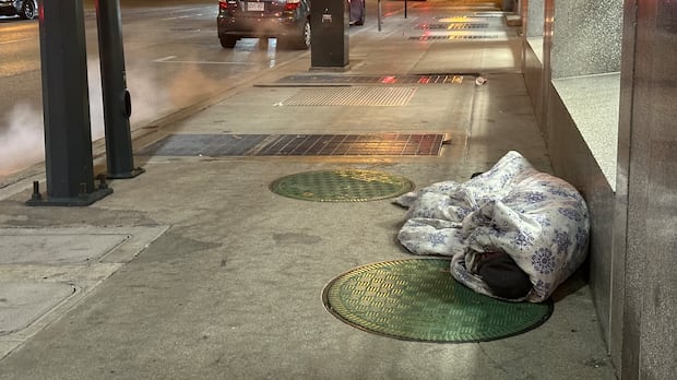 More mental health supports needed as homeless crisis deepens, advocates warn