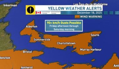 Weekend wind warning in effect for P.E.I., with peak gusts of 100 km/h possible