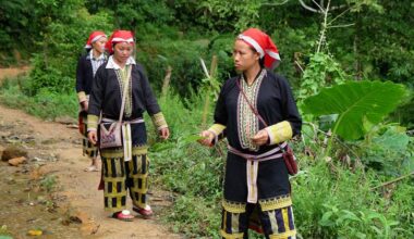 Can traditional medicine strengthen modern healthcare? An expert weighs in