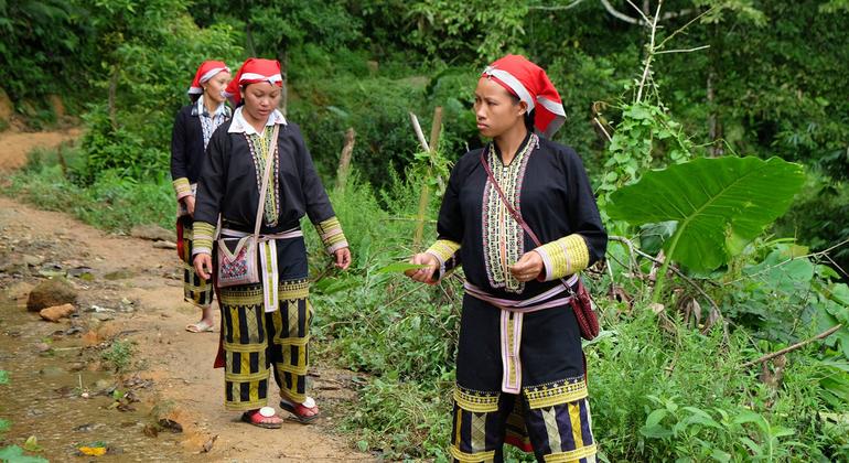 Can traditional medicine strengthen modern healthcare? An expert weighs in