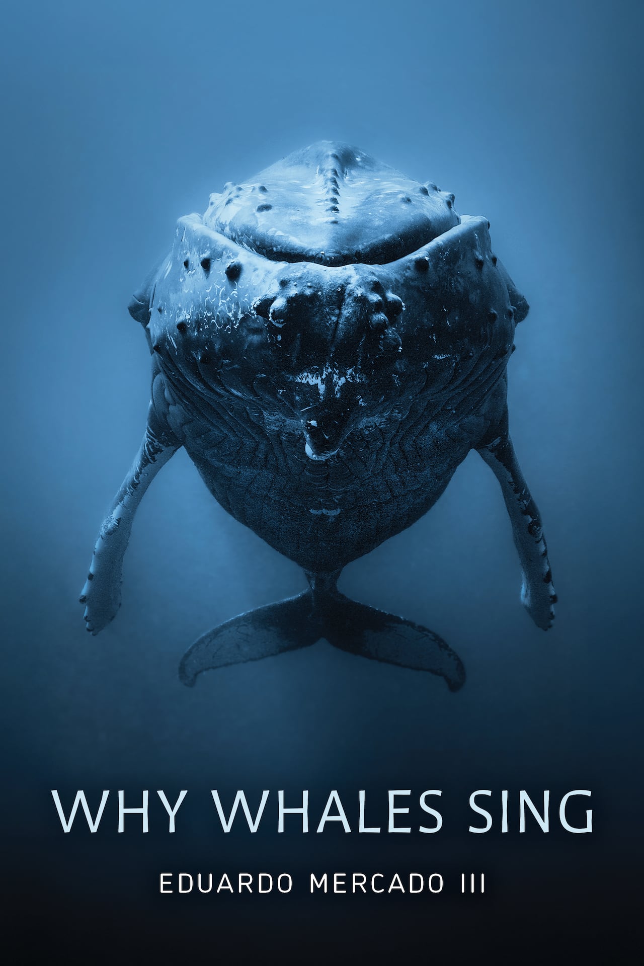 A book cover showing a whale and the words "Why Whales Sing"