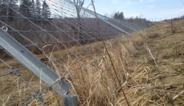 Wildlife fencing no guarantee you won't hit moose or deer, drivers discover
