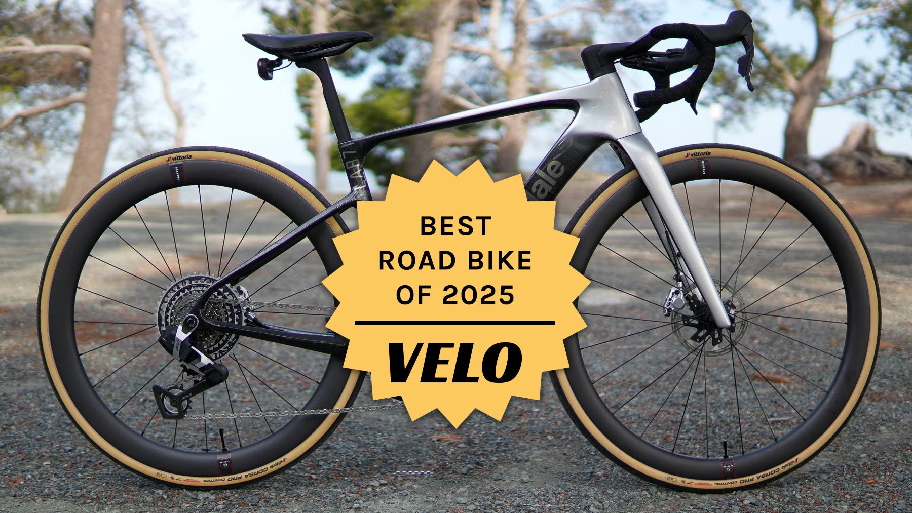 Cannondale Synapse road bike of the year winner