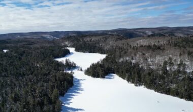 This unique forest is being considered for protection — yet Quebec has OK'd roadwork