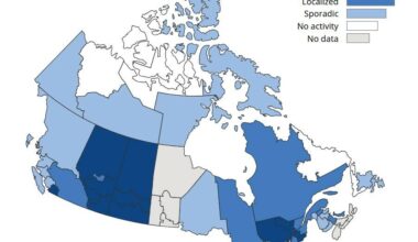 A screengrab of Health Canada&rsquo;s surveillance map for influenza activity, captured Dec. 23, 2025, shows no data reporting in Manitoba and Nova Scotia. (Health Canada)