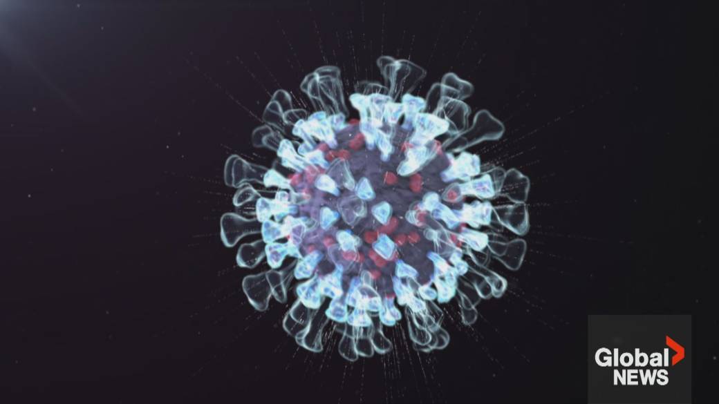 Click to play video: 'Flu cases surge across Canada with H3N2 as the dominant strain of the virus '