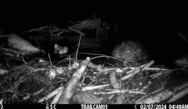 How closely did you follow climate news in 2025? Take our quiz