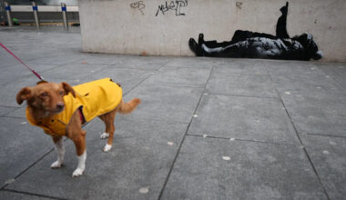 New Banksy art appears in London. See the artist's latest mural.