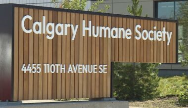 Man charged following animal abuse investigation by police, Calgary Humane Society
