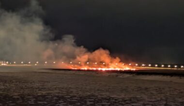 About 1.6 hectares of grassland burnt in Christmas Eve waterfront fire