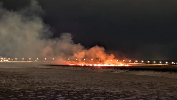 About 1.6 hectares of grassland burnt in Christmas Eve waterfront fire