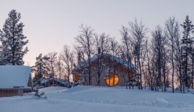 The Evolving Practice of Designing Light in Scandinavian Environments