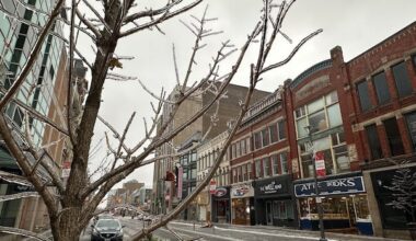 Freezing rain leads to power outages, crashes throughout southwestern Ontario
