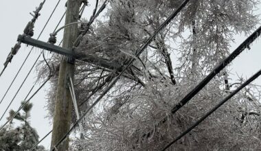 Thousands without power, trees down across southwestern Ontario, after freezing rain event