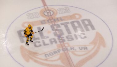 ECHL postpones 13 games after players go on strike